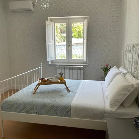 Stella * 마리나 디 스키아보네아